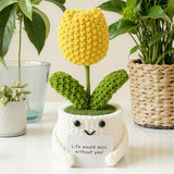 Handmade Crochet Succulent Cactus Mini Potted Plants Decor: Succulent