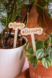 Funny Script Wooden Plant Markers: Cute AF