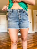 Sunset Button Fly Distressed Denim Shorts