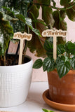 Funny Wooden Plant Markers: Plantin' Roots
