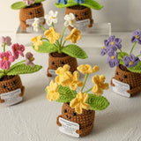 Handmade Crochet Forget-Me-Not Flower Home Decor: Pink