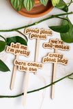 Retro Funny Wooden Plant Markers: Gimme that sun