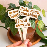 Retro Funny Wooden Plant Markers: Tell me i'm pretty