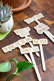 Halloween Wooden Plant Markers : It's just a bunch of Hocus Pocus!