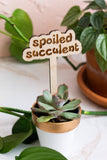 Retro Funny Wooden Plant Markers: Big plant energy