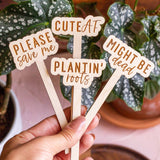 Funny Script Wooden Plant Markers: Look how cute I am