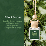 Car Diffusers | Holiday & Winter Scents (NEW 2026): No Mylar Bags / Cranberry Woods