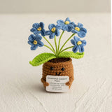Handmade Crochet Forget-Me-Not Flower Home Decor: Pink