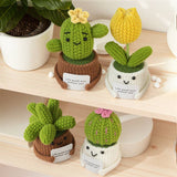Handmade Crochet Succulent Cactus Mini Potted Plants Decor: Cactus Ball