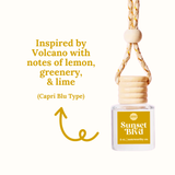 Car Diffusers | Sun-Kissed