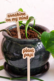 Retro Funny Wooden Plant Markers: Gimme that sun