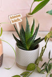 Funny Spring Wooden Plant Markers: Cute and i know it