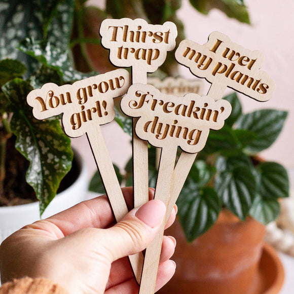 Funny Wooden Plant Markers: Spoiled plant baby