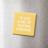 Funny Magnet, Adult Humor - Ray of Fucking Sunshine: None (Individual Magnet)