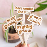 Funny Spring Wooden Plant Markers: Sunshine addict