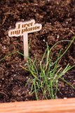 Please Save Me Funny Wooden Plant Markers: