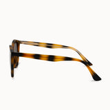 Asher Sunglasses in Tortoise Shell