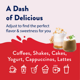 Holiday Barista Syrup Trio - Sugar Free Gift Set