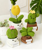 Handmade Crochet Succulent Cactus Mini Potted Plants Decor: Succulent