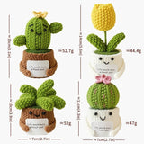 Handmade Crochet Succulent Cactus Mini Potted Plants Decor: Cactus Ball
