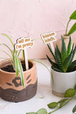 Funny Spring Wooden Plant Markers: Cute and i know it