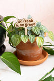 Retro Funny Wooden Plant Markers: Big plant energy