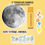 I'm No Cactus Expert But I Know A Funny Sticker Vinyl Decal: 3"