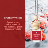 Car Diffusers | Holiday & Winter Scents (NEW 2026): No Mylar Bags / Sugar Plum Punch