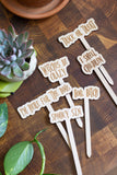 Halloween Wooden Plant Markers : It's just a bunch of Hocus Pocus!