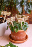 Funny Script Wooden Plant Markers: Cute AF
