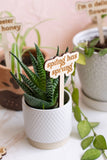 Funny Spring Wooden Plant Markers: Sassy bitch