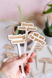 Funny Spring Wooden Plant Markers: Sunshine addict