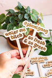 Retro Funny Wooden Plant Markers: Tell me i'm pretty