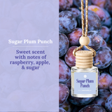 Car Diffusers | Holiday & Winter Scents (NEW 2026): No Mylar Bags / Mulled Cider