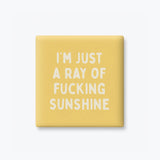 Funny Magnet, Adult Humor - Ray of Fucking Sunshine: None (Individual Magnet)