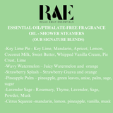 Single Shower Steamer - Aromatherapy : Citrus squeeze