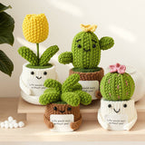 Handmade Crochet Succulent Cactus Mini Potted Plants Decor: Succulent