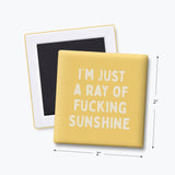 Funny Magnet, Adult Humor - Ray of Fucking Sunshine: None (Individual Magnet)
