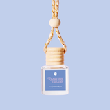 Car Diffusers | NEW | You-Pick Scents | Snarky, Funny: Hot Girls Hit Curbs / No Mylar Bag / Pink Sugar