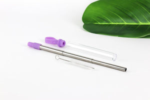 Expandable Reusable Stainless Steel Straw